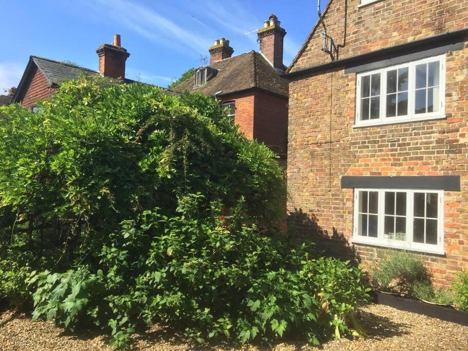 Beautiful 500 Year Old Listed Kentish Cottage Wingham エクステリア 写真