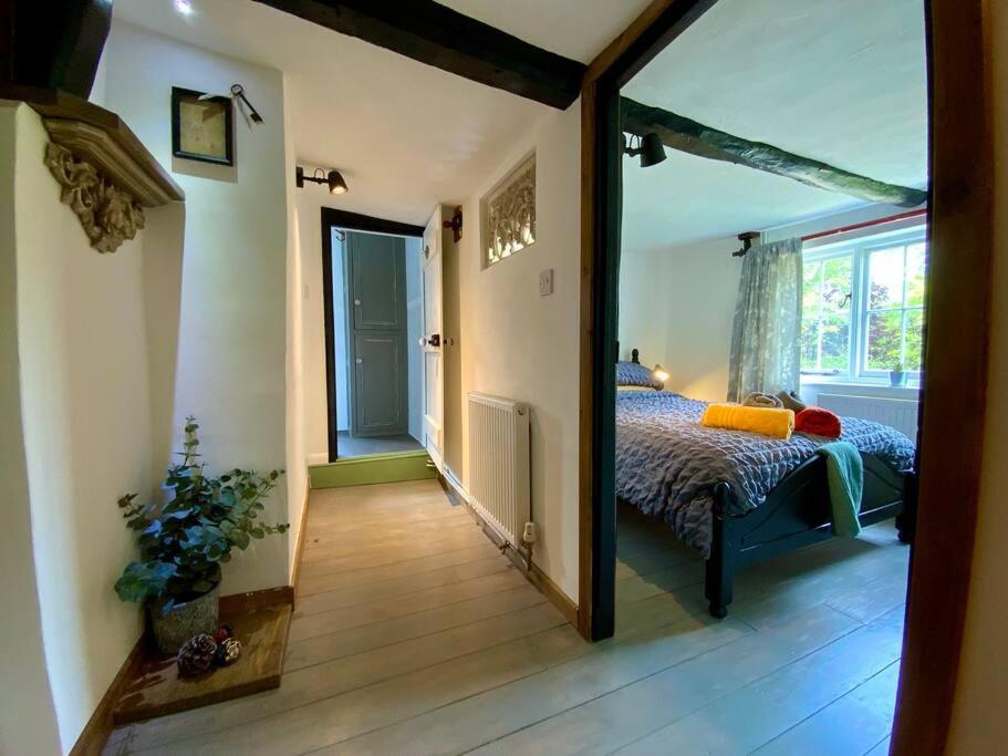 Beautiful 500 Year Old Listed Kentish Cottage Wingham エクステリア 写真